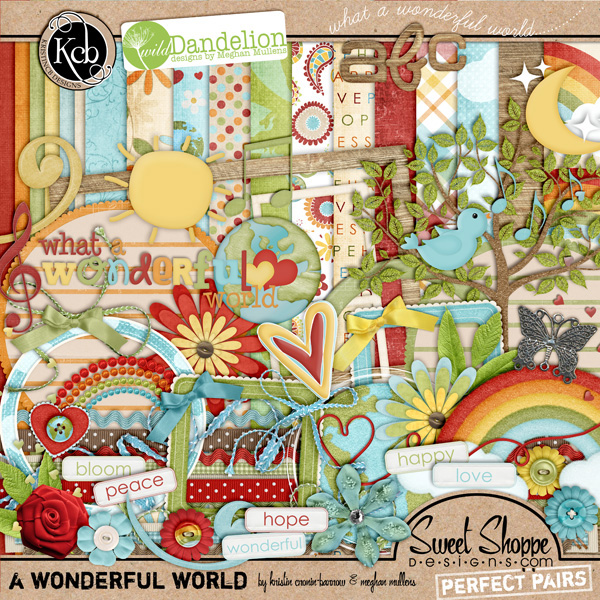 A Wonderful World by Kristin Cronin-Barrow & Meg Mullens