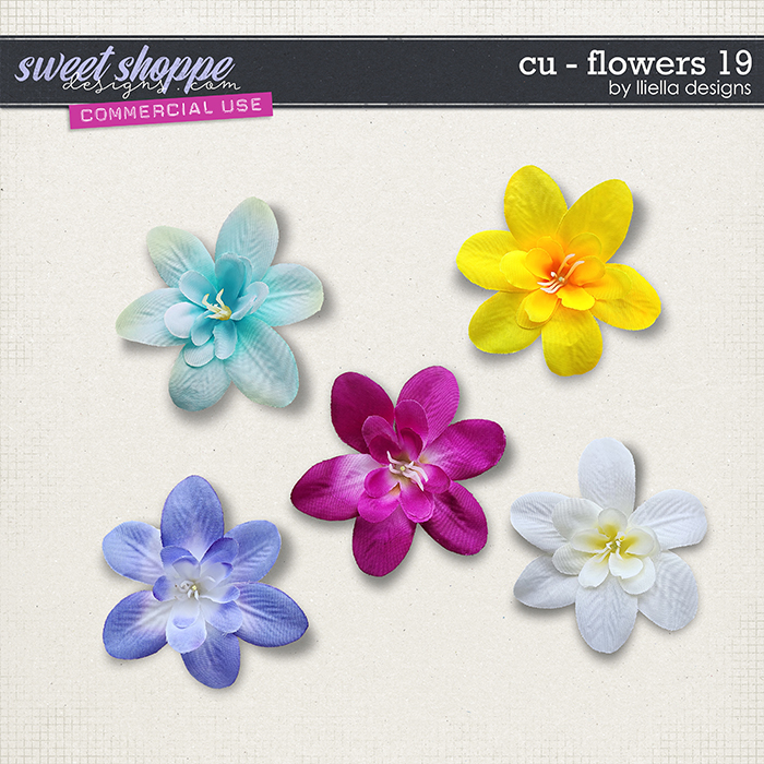 CU - Flowers 19 by lliella designs