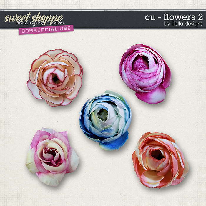 CU - Flowers 2 by lliella designs