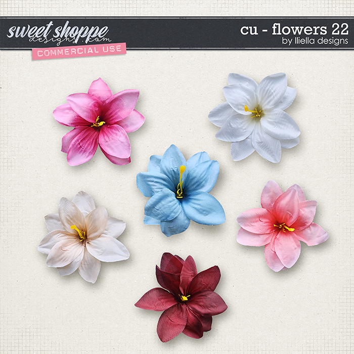 CU - Flowers 22 by lliella designs