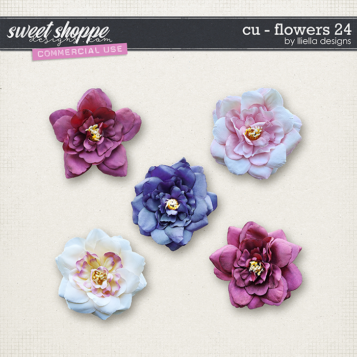 CU - Flowers 24 by lliella designs CU - Flowers 24 by lliella designs
