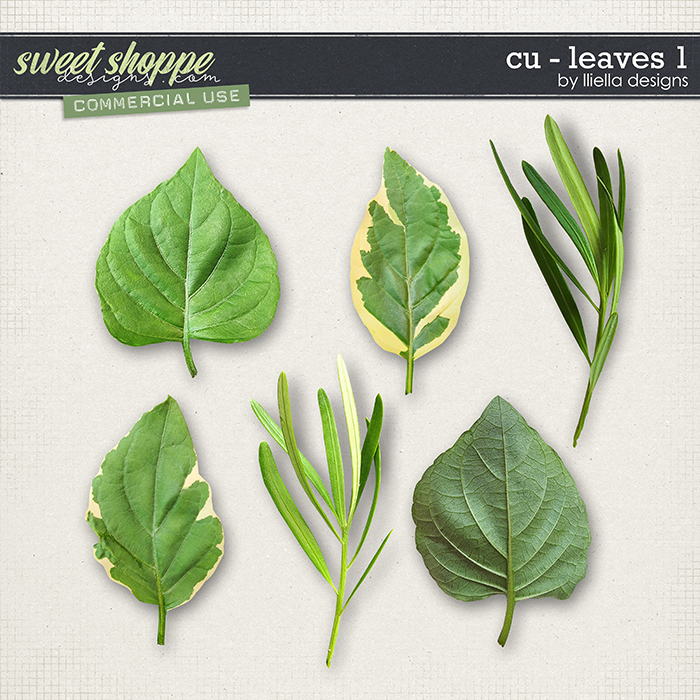 CU - Leaves 1 by lliella designs