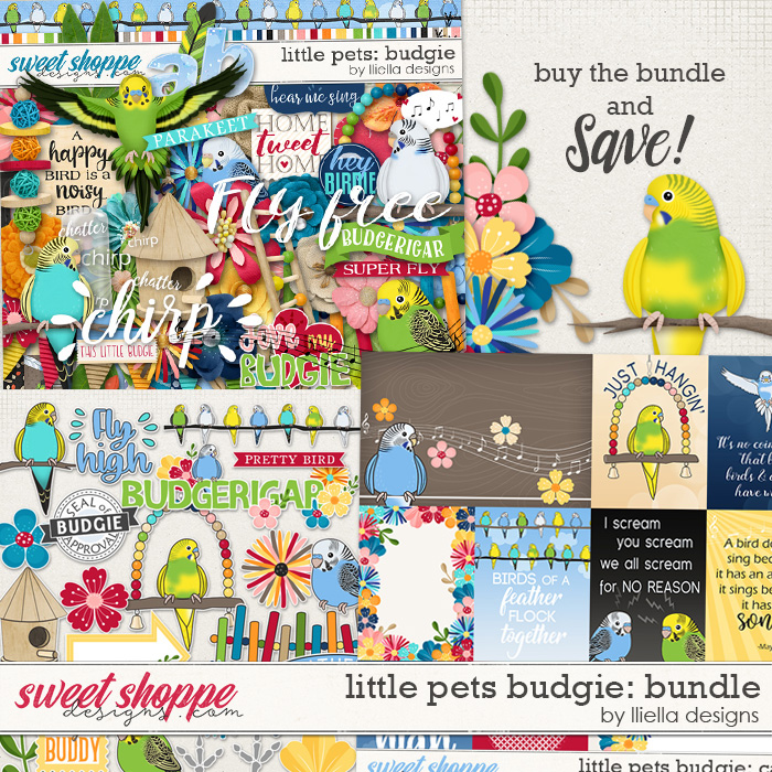 Little Pets Budgie Bundle by lliella designs