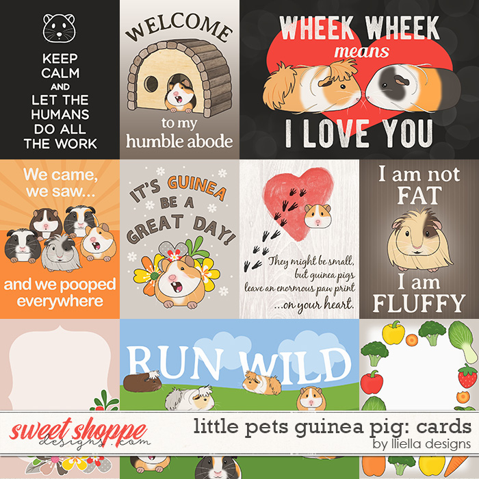 Little Pets Guinea Pig Cards by lliella designs