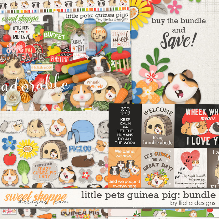 Little Pets Guinea Pig Bundle by lliella designs