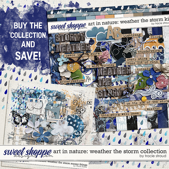 Art in Nature: Weather the Storm Collection by Tracie Stroud