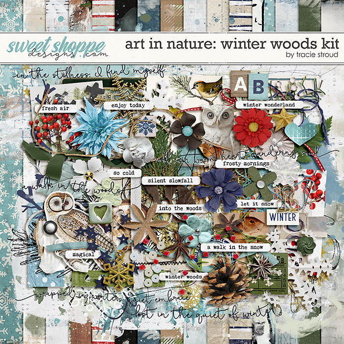 Art in Nature: Winter Woods Kit by Tracie Stroud