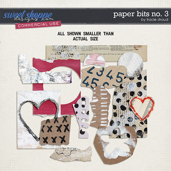 CU Paper Bits no. 3 by Tracie Stroud