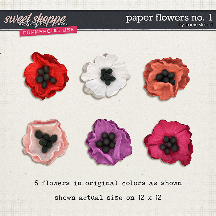 CU Paper Flowers no. 1 by Tracie Stroud