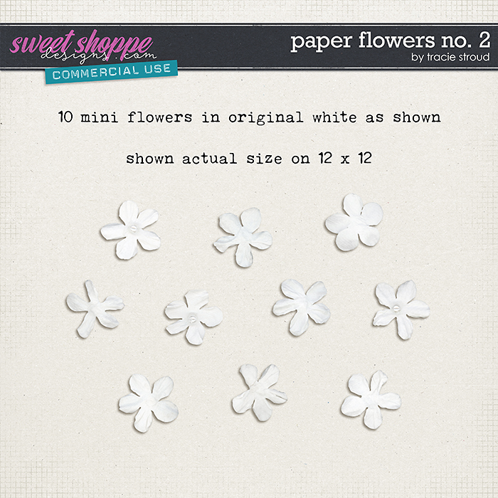 CU Paper Flowers no. 2 by Tracie Stroud