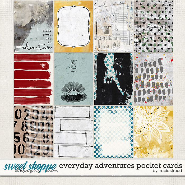 Everyday Adventures Pocket Cards by Tracie Stroud