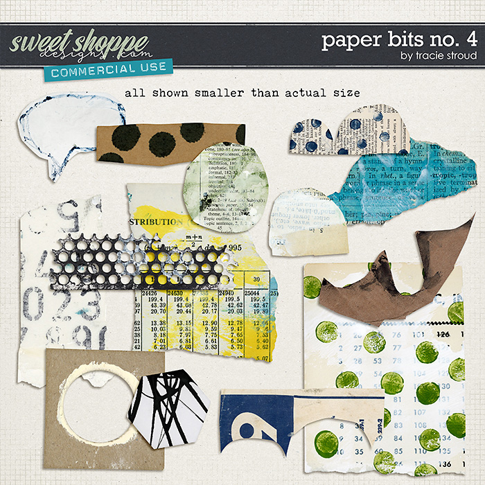 CU Paper Bits no. 4 by Tracie Stroud