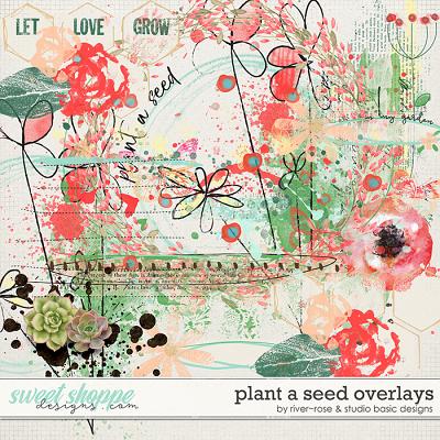 Plant A Seed Overlays by River Rose & Studio Basic Designs
