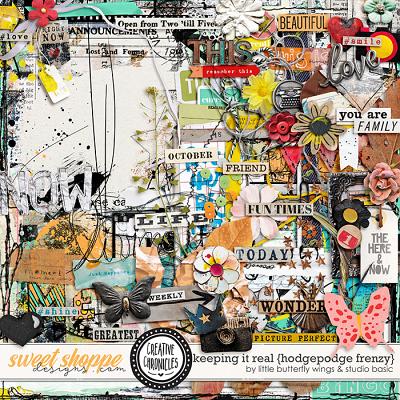 Creative Chronicles: Keeping It Real Hodgepodge Frenzy by Little Butterfly Wings & Studio Basic
