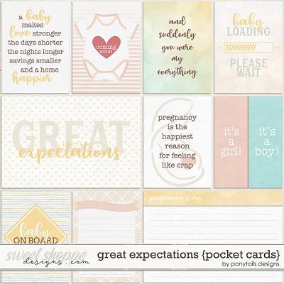 Great Expectations Pocket Cards by Ponytails