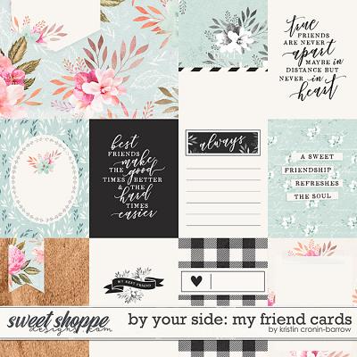 By Your Side: My Friend Cards by Kristin Cronin-Barrow 