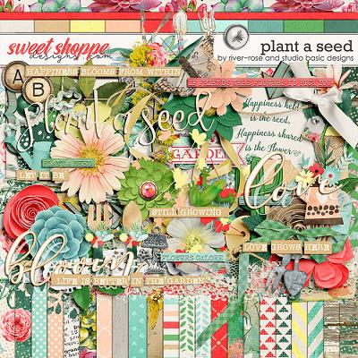 Plant A Seed Kit by River Rose & Studio Basic Designs