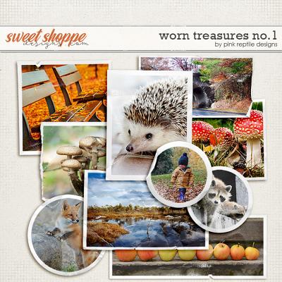 Worn Treasures No.1 by Pink Reptile Designs