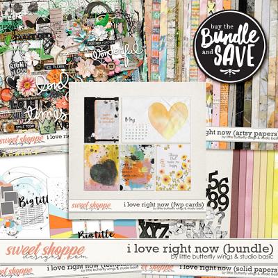 I Love Right Now Bundle by Little Butterfly Wings & Studio Basic