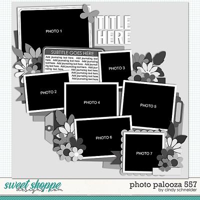 Cindy's Layered Templates - Photo Palooza 557 by Cindy Schneider