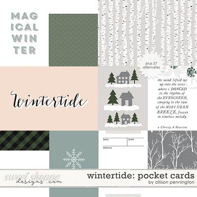 Wintertide: Pocket Cards by Allison Pennington