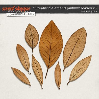 CU REALISTIC ELEMENTS | AUTUMN LEAVES V.2 by The Nifty Pixel