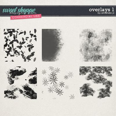 CU AY overlays 1 by Amanda Yi