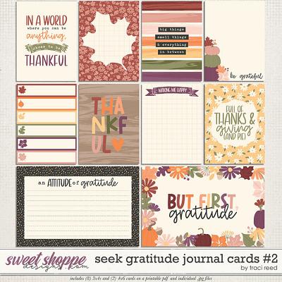 Seek Gratitude Journal Cards #2 by Traci Reed