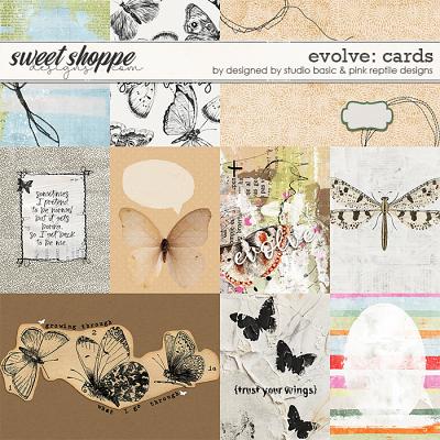 Evolve Cards by Pink Reptile & Studio Basic