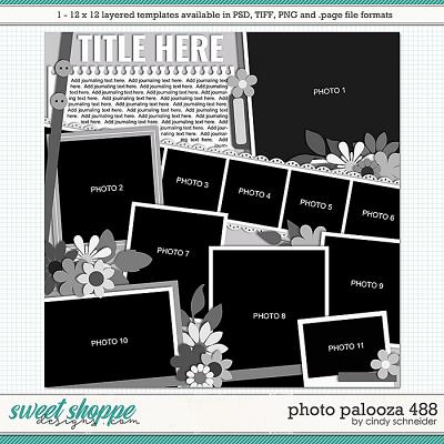 Cindy's Layered Templates - Photo Palooza 488 by Cindy Schneider