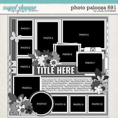 Cindy's Layered Templates - Photo Palooza 691 by Cindy Schneider