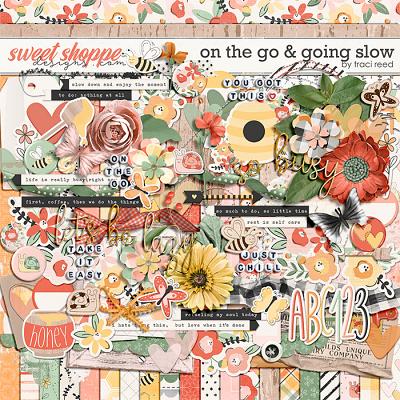 On The Go & Going Slow by Traci Reed