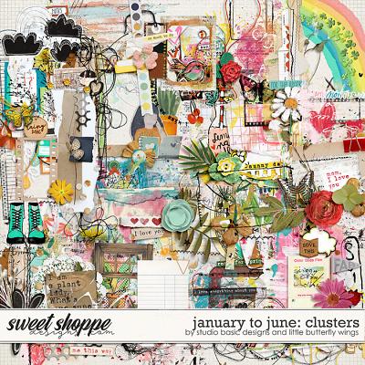 January To June: Clusters by Studio Basic & Little Butterfly Wings