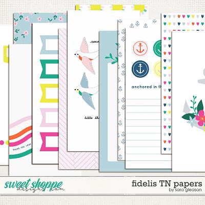 Fidelis TN Papers by Sara Gleason