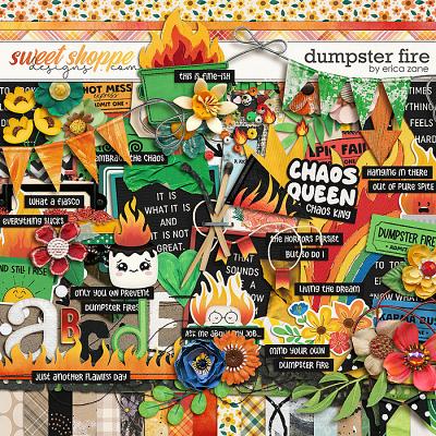 Dumpster Fire by Erica Zane