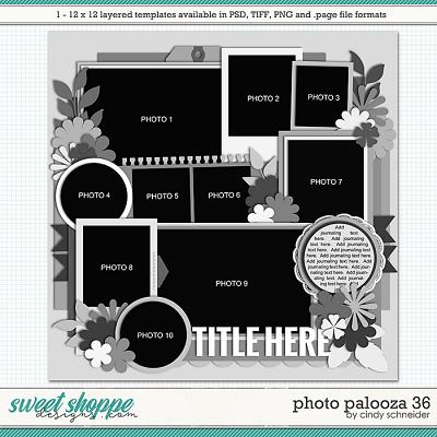 Cindy's Layered Templates - Photo Palooza 36 by Cindy Schneider