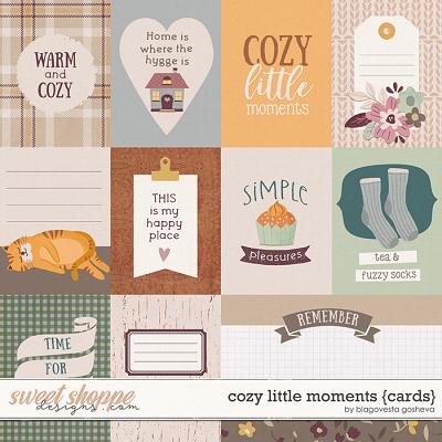 Cozy Little Moments {cards} by Blagovesta Gosheva