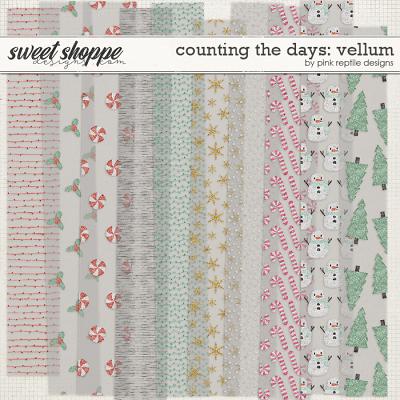 Counting The Days Vellum by Pink Reptile Designs