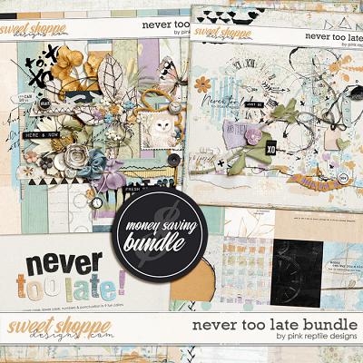 Never Too Late Bundle by Pink Reptile Designs