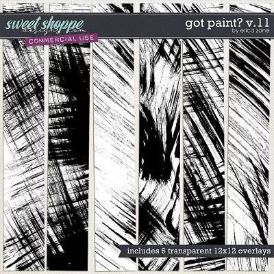 Got Paint? v.11 by Erica Zane