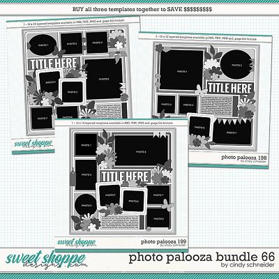 Cindy's Layered Templates - Photo Palooza Bundle 66 by Cindy Schneider