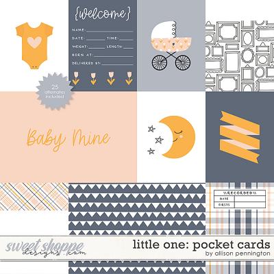 Little One: Pocket Cards by Allison Pennington