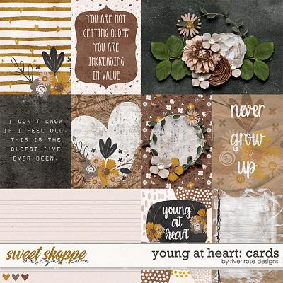 Young at Heart: Cards by River Rose Designs
