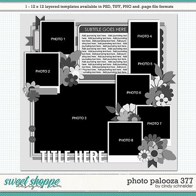 Cindy's Layered Templates - Photo Palooza 377 by Cindy Schneider