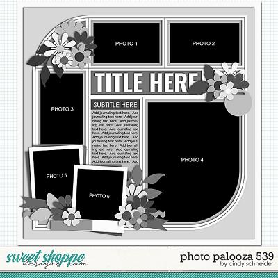 Cindy's Layered Templates - Photo Palooza 539 by Cindy Schneider
