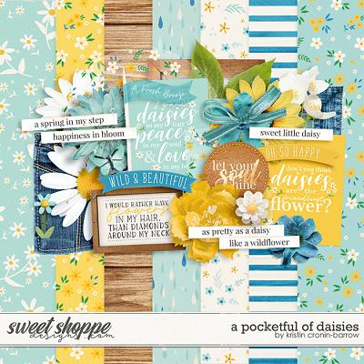 A Pocket Full of Daisies by Kristin Cronin-Barrow 