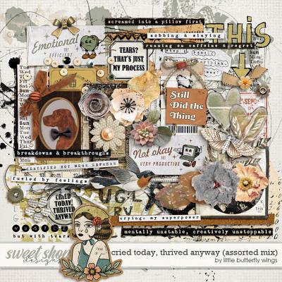 Cried today, thrived anyway (assorted mix) by Little Butterfly Wings