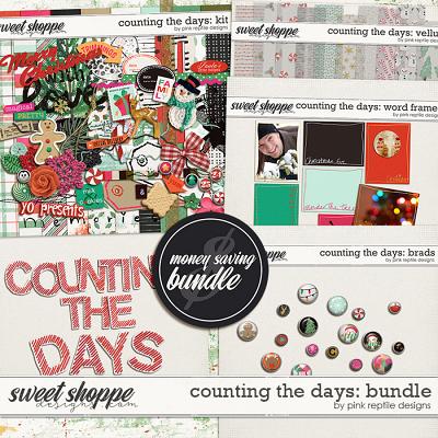 Counting The Days Bundle by Pink Reptile Designs Counting The Days Bundle by Pink Reptile Designs