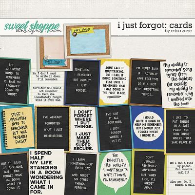 I Just Forgot : Cards by Erica Zane