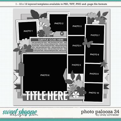 Cindy's Layered Templates - Photo Palooza 34 by Cindy Schneider